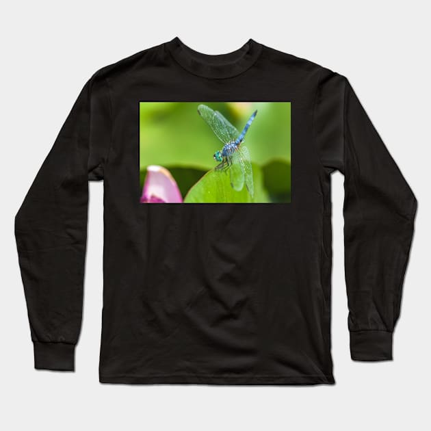 Blue Dasher Long Sleeve T-Shirt by jvnimages